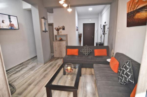 Vasilikis spacious apartment